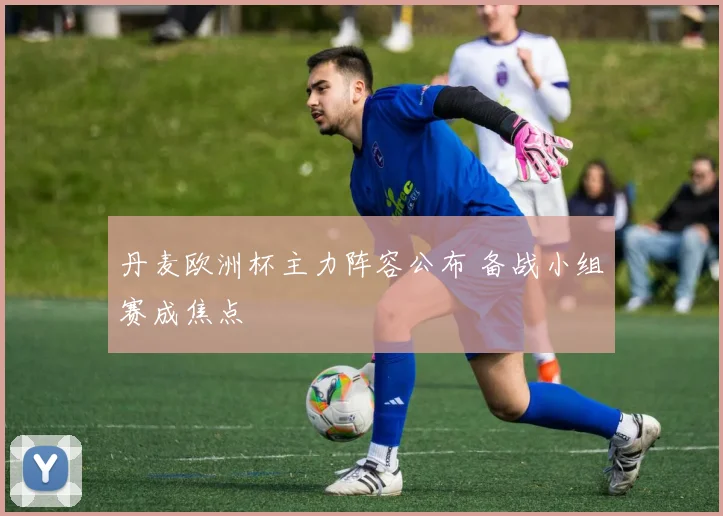 丹麦欧洲杯主力阵容公布 备战小组赛成焦点