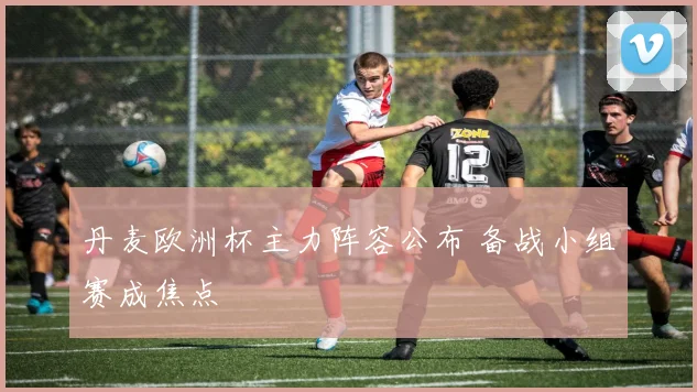 丹麦欧洲杯主力阵容公布 备战小组赛成焦点