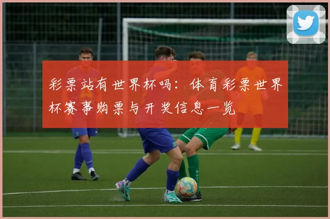 彩票站有世界杯吗：体育彩票世界杯赛事购票与开奖信息一览