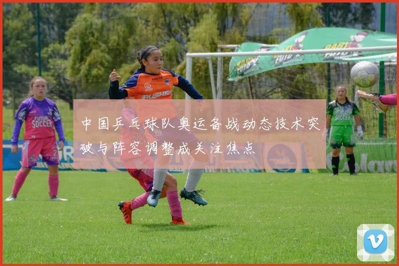 中国乒乓球队奥运备战动态技术突破与阵容调整成关注焦点