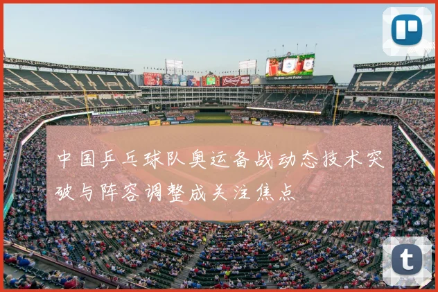 中国乒乓球队奥运备战动态技术突破与阵容调整成关注焦点