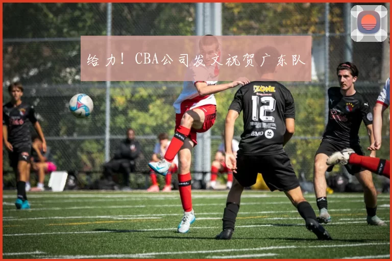 给力！CBA公司发文祝贺广东队