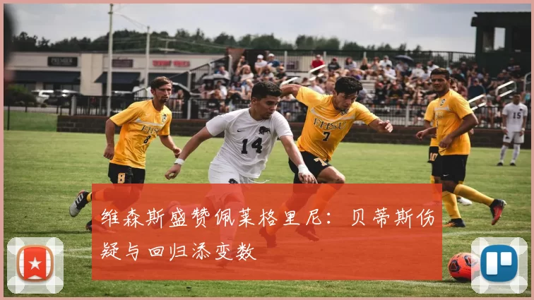 维森斯盛赞佩莱格里尼：贝蒂斯伤疑与回归添变数