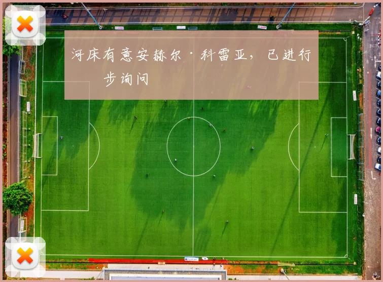 河床有意安赫尔·科雷亚,已进行初步询问